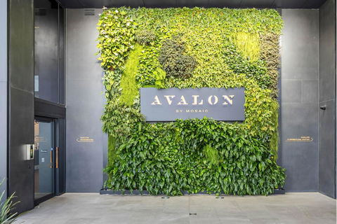 Avalon Resort Maroochydore - Grafton Accommodation 2