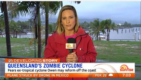 Hinchinbrook Holiday Apartments - Grafton Accommodation 13