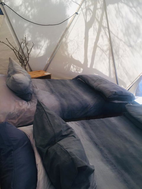 Flinders Island Glamping - Grafton Accommodation 6