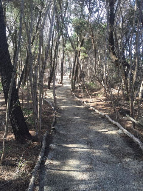 Flinders Island Glamping - Grafton Accommodation 1