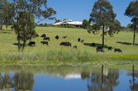 Book Nabiac Accommodation Vacations Grafton Accommodation Grafton Accommodation