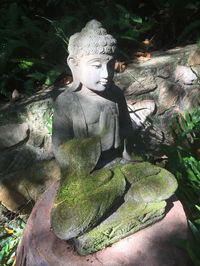Book Coolum Accommodation Vacations Grafton Accommodation Grafton Accommodation