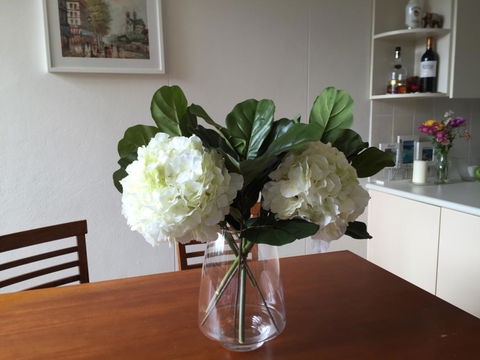 1-Bed Room In 2-bed Rooms Apartment Double Bay - Grafton Accommodation 3