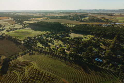CANVS By CABN Seppeltsfield Barossa - Grafton Accommodation 2