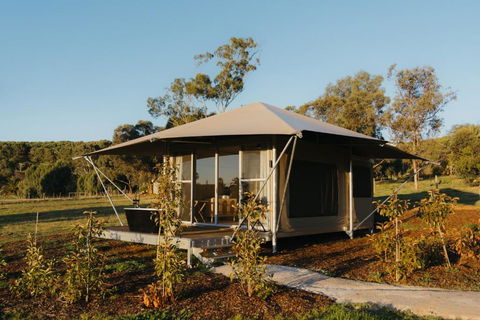 CANVS By CABN Seppeltsfield Barossa - Grafton Accommodation 3