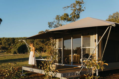 CANVS By CABN Seppeltsfield Barossa - Grafton Accommodation 4