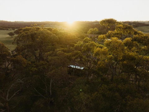 CABN Clare Valley - Grafton Accommodation 4