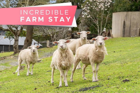 Carawatha On The Range - Unique Farm Stay - Grafton Accommodation 0