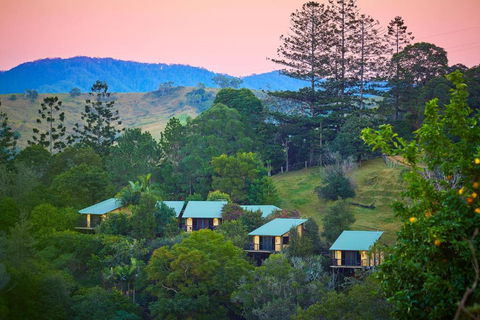 Dayboro Cottages - Grafton Accommodation 0