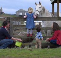 28 gates Luxury Farmstay and Fishery - Grafton Accommodation