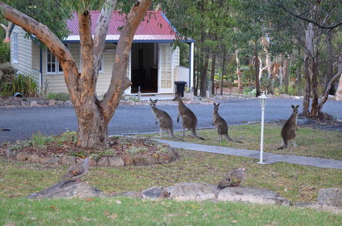 31 The Rocks - Grafton Accommodation 0