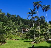 A Daintree Garden - Grafton Accommodation