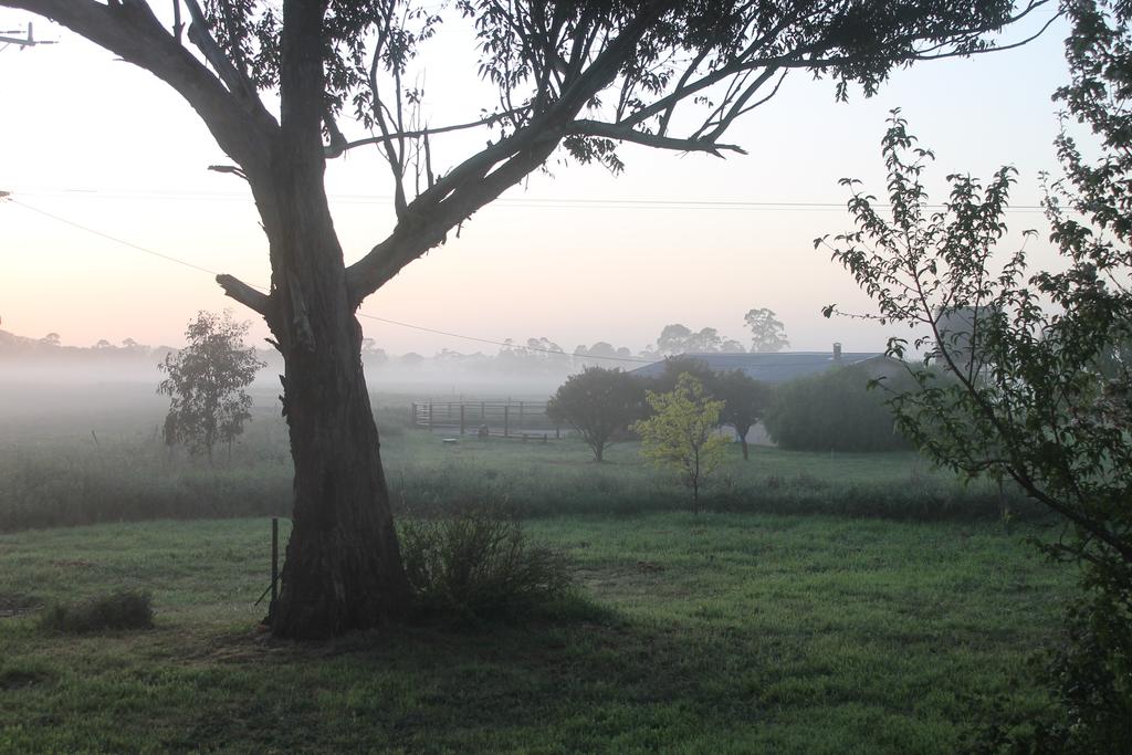 Heyfield VIC Grafton Accommodation