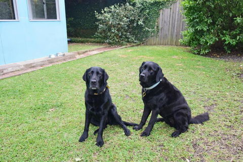 GERR14C - Salty Dog - Grafton Accommodation 3