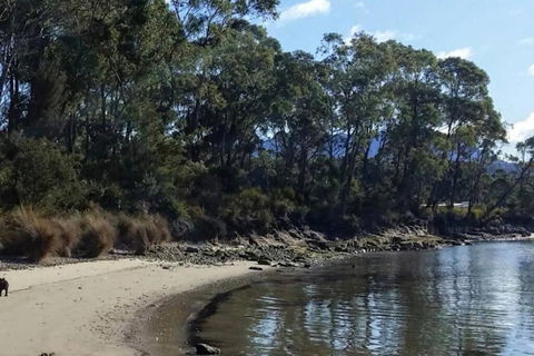 Hideaway By The Bay - Grafton Accommodation 0