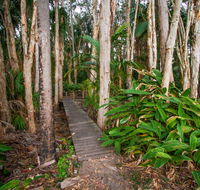 Agnes Palms Accommodation - Grafton Accommodation