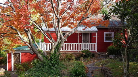 Akarana Cottage - Grafton Accommodation 1