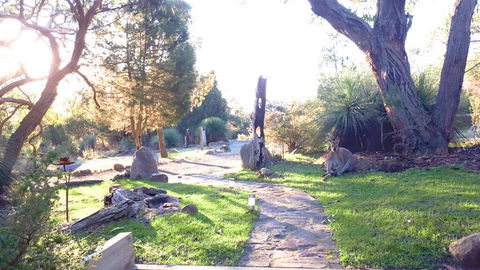 Aquila Eco Lodges - Grafton Accommodation 3