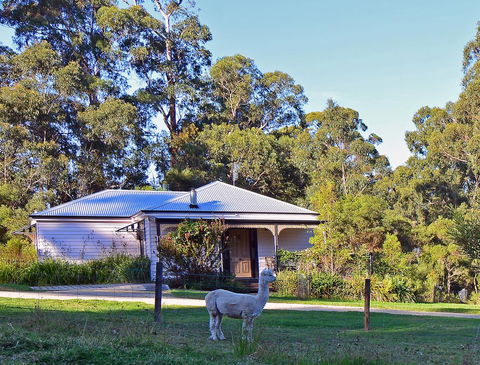 Araluen Park Cottages - Grafton Accommodation 0