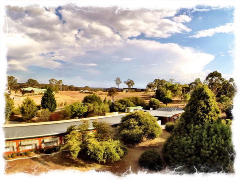 Armidale Rose Villa Motel - Grafton Accommodation 1