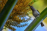 Book Karumba Accommodation Vacations Grafton Accommodation Grafton Accommodation