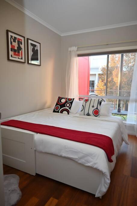 Mawson Red - Free Pool Access -Onsite Parking-Netflix-5 Mins To Mawson Interchange - Grafton Accommodation 3