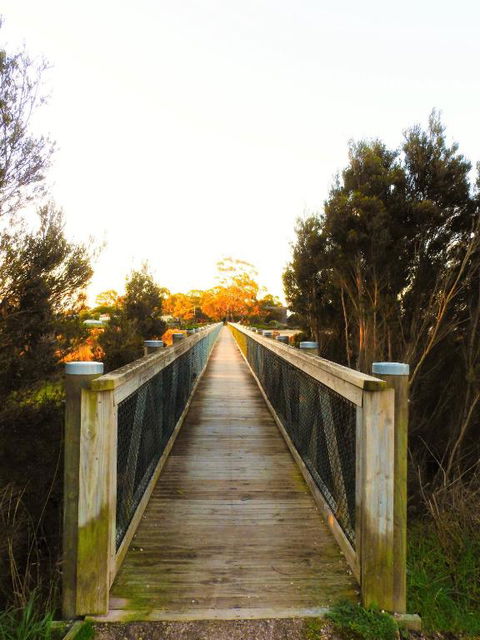 Moomba Holiday And Caravan Park - Grafton Accommodation 3