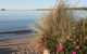 Moomba Holiday And Caravan Park - thumb 1
