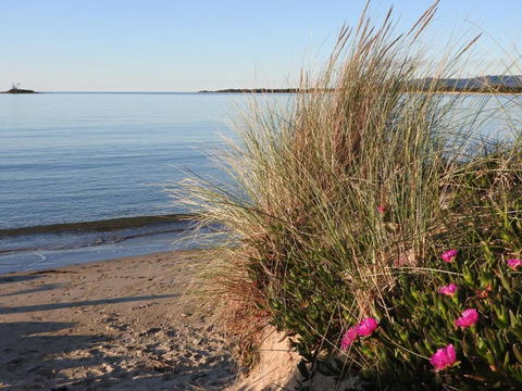 Moomba Holiday And Caravan Park - Grafton Accommodation 1