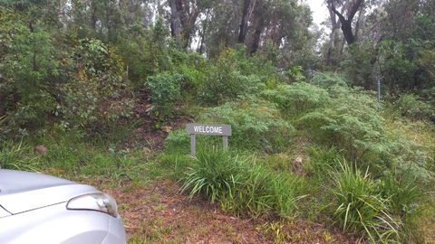 Mountain Tranquility - Grafton Accommodation 3