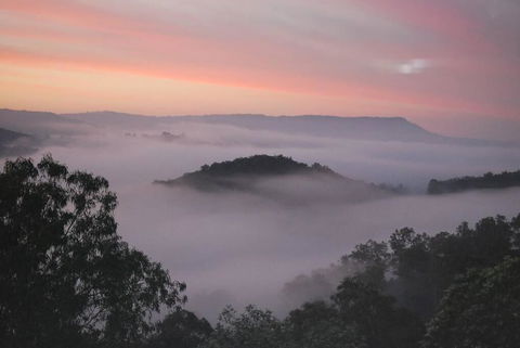 Nunyara Retreat. Quality Bush Retreat - Grafton Accommodation 0