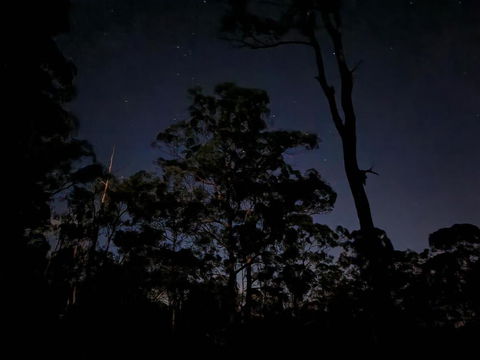 Oakey Creek Country Retreat Kenilworth - Grafton Accommodation 3