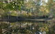Oakey Creek Country Retreat Kenilworth - thumb 2