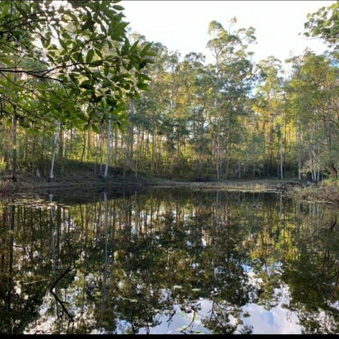 Oakey Creek Country Retreat Kenilworth - Grafton Accommodation 2