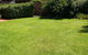 Open 4 Bedroom Home - thumb 1