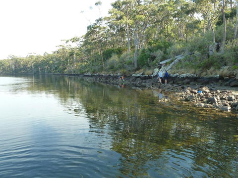 Oyster Shack - Grafton Accommodation 2