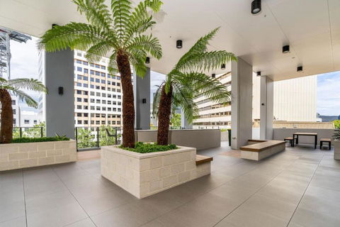 Park Avenue Apt In The Heart Of The City - Grafton Accommodation 2