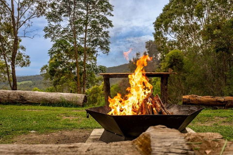 Personal Sauna & Ice-bath At Kookaburra Cabin - Grafton Accommodation 2