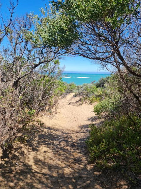 PIECE OF PARADISE, Huge 4 Bedroom Haven - Grafton Accommodation 0
