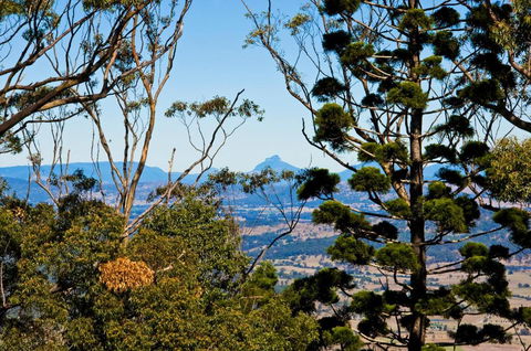 Possum Lodge At Cloudhill Estate - Grafton Accommodation 3