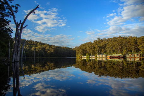 RAC Karri Valley Resort - Grafton Accommodation 3
