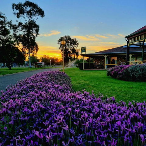 Quality Inn Carriage House - Grafton Accommodation 1