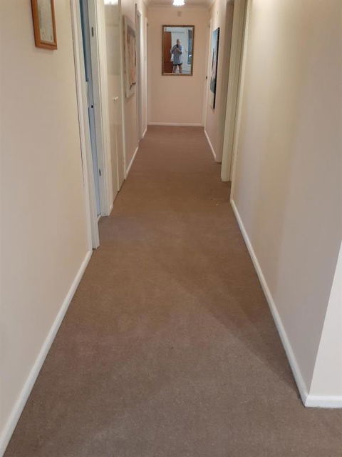 QUIET PROPERTY BY THE RIVER - Grafton Accommodation 2