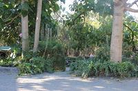Book Macclesfield Accommodation Vacations Grafton Accommodation Grafton Accommodation
