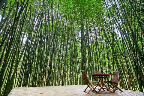 Azabu Boutique Accommodation - Grafton Accommodation 1