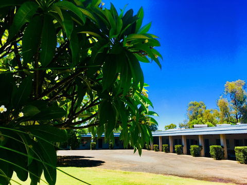 Balonne River Motor Inn - Grafton Accommodation 0