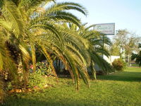 Book Winton Accommodation Vacations Grafton Accommodation Grafton Accommodation