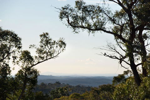 Barwidgee - Grafton Accommodation 2