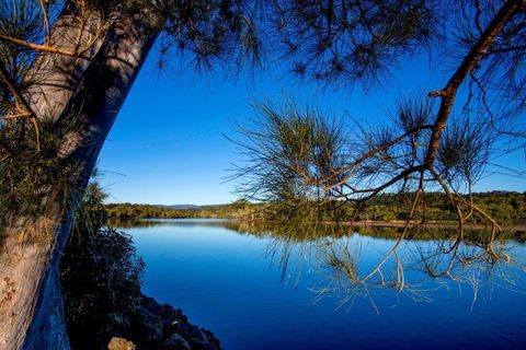 Reflections Ferry Reserve - Holiday Park - Grafton Accommodation 2