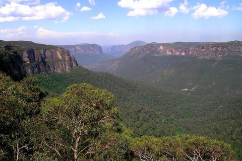 Ribbon Gum Lodge - Grafton Accommodation 1